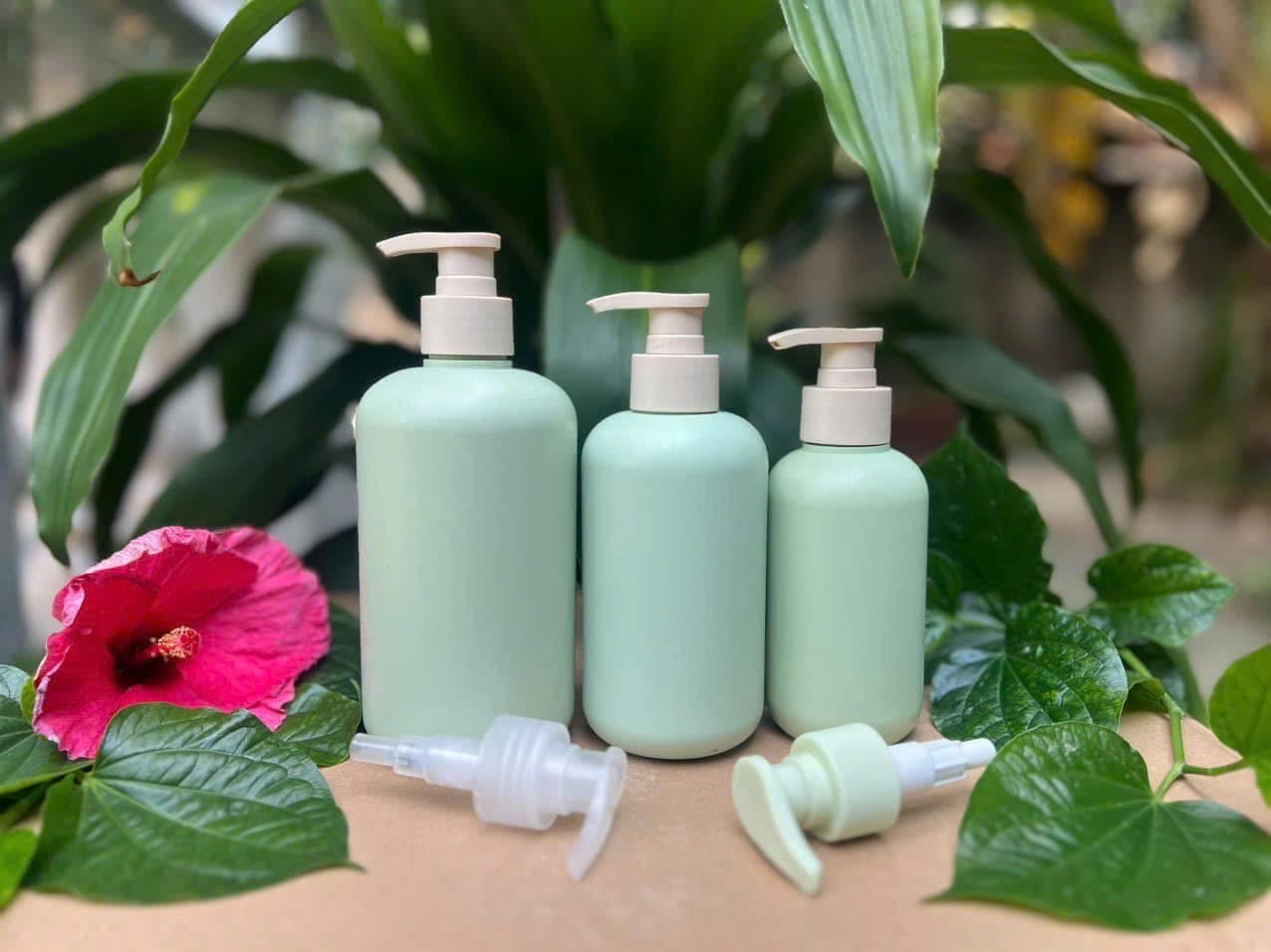 Lĩnh vực hoạt động